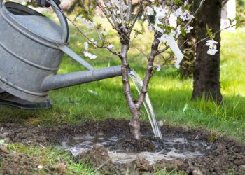 Les togolais ont observé la journée du 1er juin malgré la covid-19