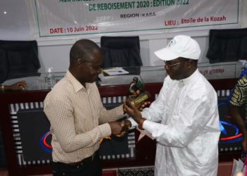 Togo/ Environnement : des initiatives de reboisement récompensées par le gouvernement