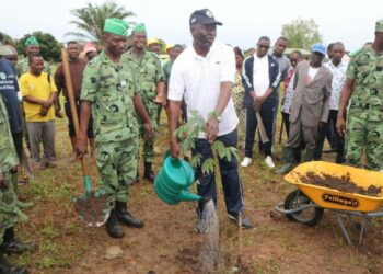 TOGO / Campagne nationale de reboisement : Dans l’objectif de 14 millions de plants en 2023