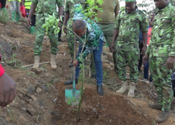TOGO / Environnement : La Journée nationale de l’arbre couplée de la campagne nationale de reboisement officiellement démarrée