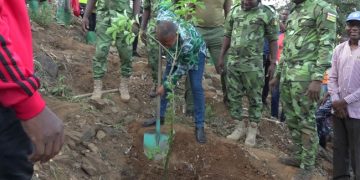 TOGO / Environnement : La Journée nationale de l’arbre couplée de la campagne nationale de reboisement officiellement démarrée