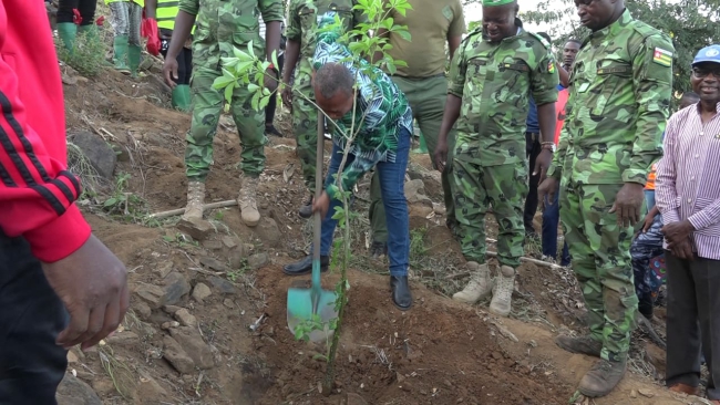TOGO / Environnement : La Journée nationale de l’arbre couplée de la campagne nationale de reboisement officiellement démarrée